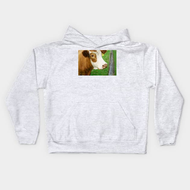 Hereford beef cattle Kids Hoodie by brians101